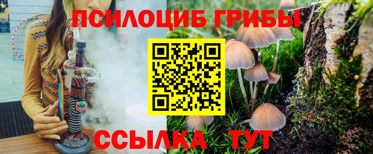 Псилоцибиновые грибы мицелий Орёл